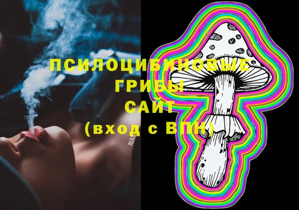 эйфоретик Инсар