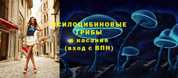 молекула духа Инта