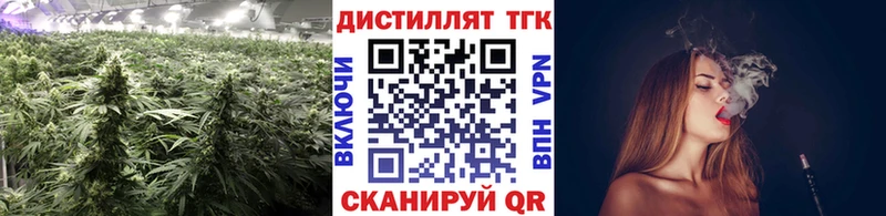 Купить где Буинск Дистиллят ТГК жижа